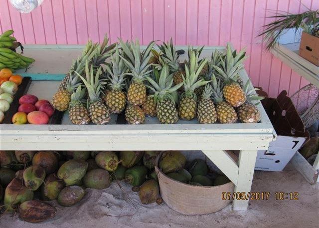 Pink Sand Cottage Cottage North Palmetto Point Buitenkant foto